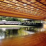 Meiji Jingu_201211 014-015_CPR.jpg