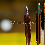 Montferrier 20100410_7D6575_PRT CPR.jpg