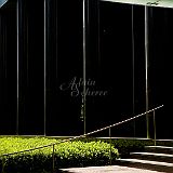 Shinjuku 200704_6354_PRT_29x39 CPR.jpg